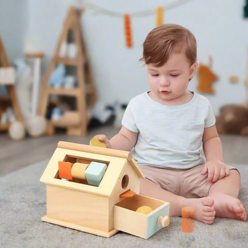 4 in 1 Wooden Montessori Toy House